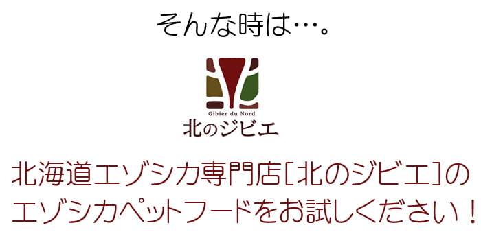 在庫一掃】エゾ鹿 肩甲骨(へら骨)【1人2個まで】