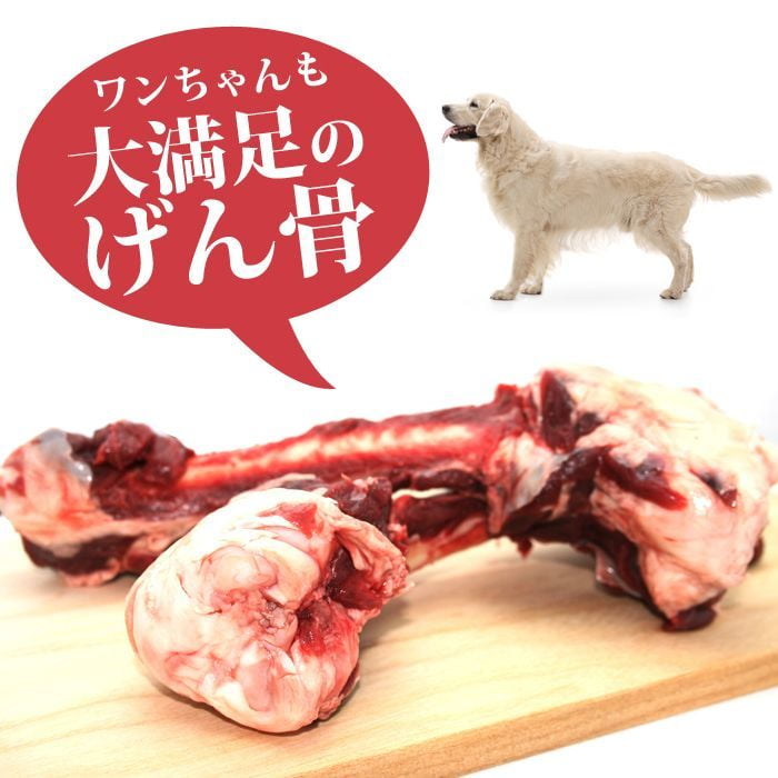 犬用 エゾ鹿 げん骨4個 生食OK！