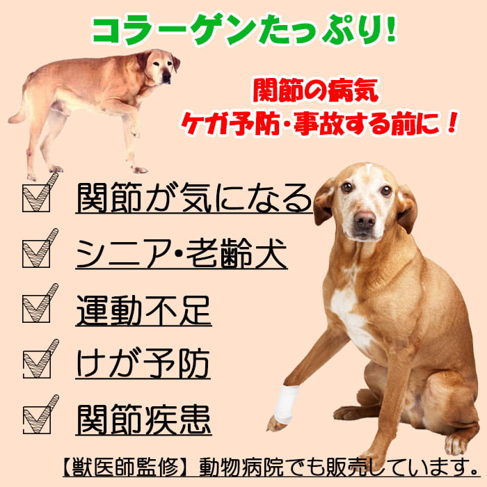 獣医師監修 犬用 ナマコ粉末 キンコ 90g コラーゲンの補給 関節に 犬用 病院食 無添加