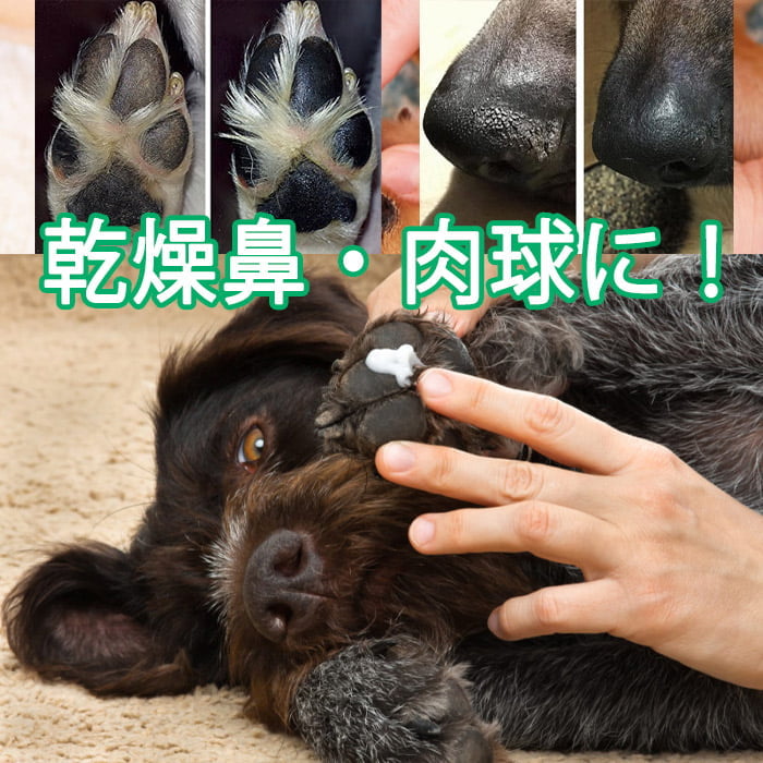 獣医師監修 犬用 ハナ 肉球 ケアー 30g ペットの乾燥した肌に 鹿油100 舐めても安心安全 ネコポス送料無料