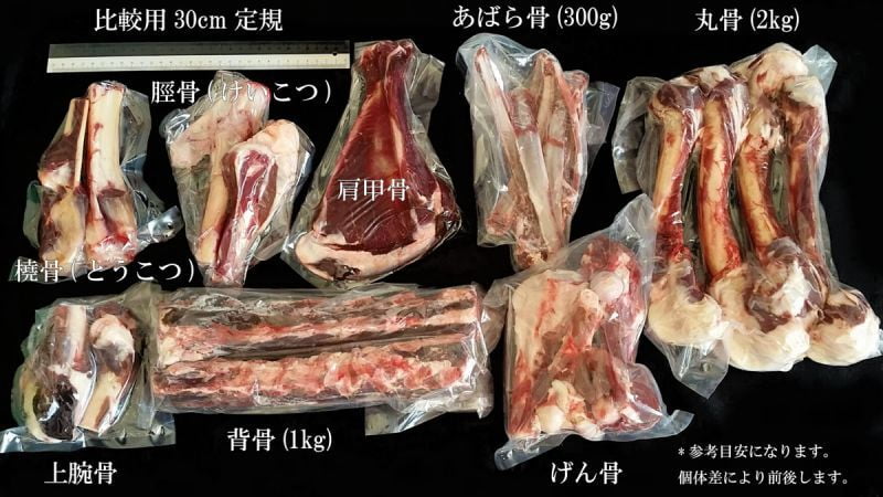アウトレット ペット用骨販売の中で一番お肉がついています エゾ鹿 肩甲骨 へら骨 商品変更に伴い 激安販売 coloradointerpreter.com