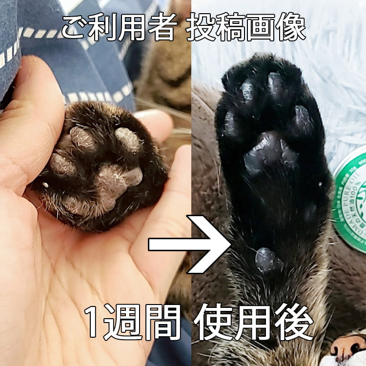 獣医師監修 犬用 ハナ 肉球 ケアー 30g ペットの乾燥した肌に 鹿油100 舐めても安心安全 ネコポス送料無料